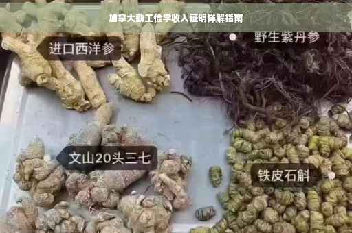 加拿大勤工俭学收入证明详解指南