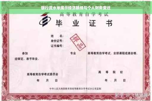 银行流水单揭示经济脉络与个人财务变迁