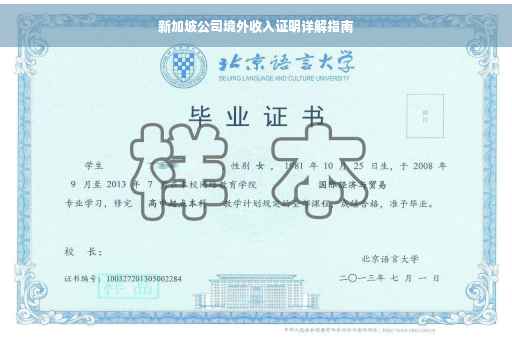 新加坡公司境外收入证明详解指南
