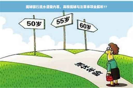 揭秘银行流水调查内幕，真相揭秘与注意事项全解析??