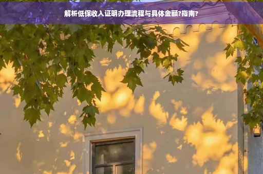 解析低保收入证明办理流程与具体金额?指南?
