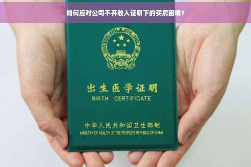 如何应对公司不开收入证明下的买房困境？