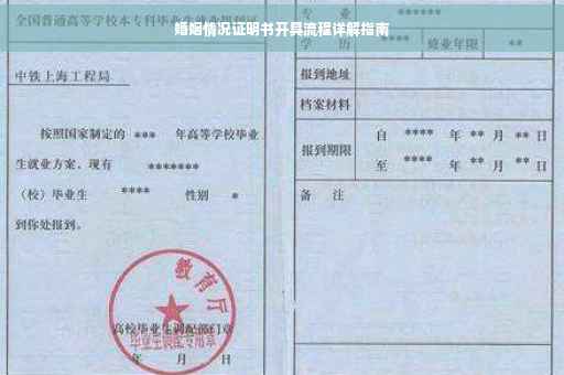 婚姻情况证明书开具流程详解指南