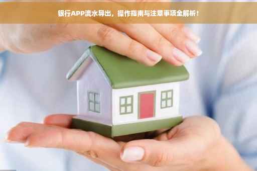 银行APP流水导出，操作指南与注意事项全解析！