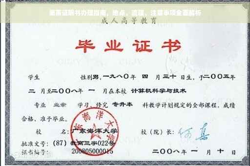 熏蒸证明书办理指南，地点、流程、注意事项全面解析