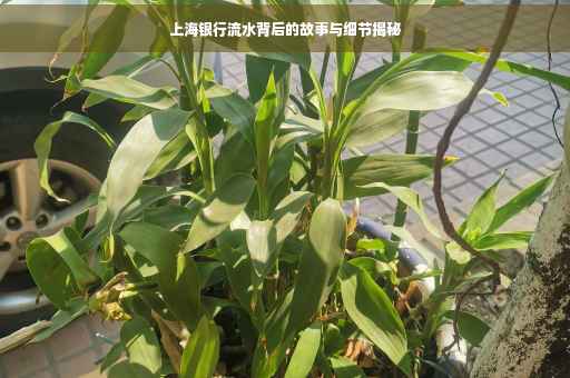 上海银行流水背后的故事与细节揭秘