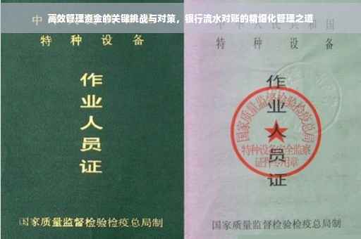 高效管理资金的关键挑战与对策，银行流水对账的精细化管理之道