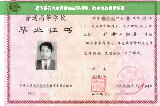 杨飞银行流水背后的故事揭秘，数字流转揭示真相