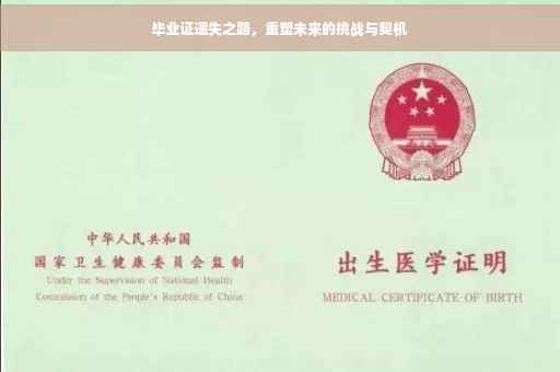 毕业证遗失之路，重塑未来的挑战与契机