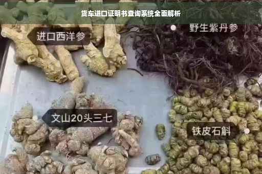 货车进口证明书查询系统全面解析