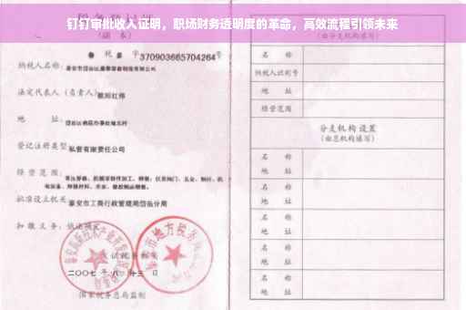 钉钉审批收入证明，职场财务透明度的革命，高效流程引领未来