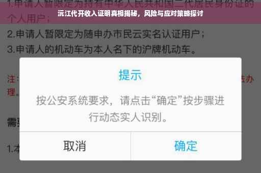 沅江代开收入证明真相揭秘，风险与应对策略探讨