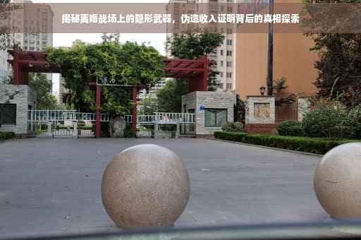揭秘离婚战场上的隐形武器，伪造收入证明背后的真相探索