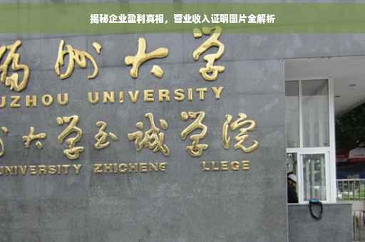揭秘企业盈利真相，营业收入证明图片全解析