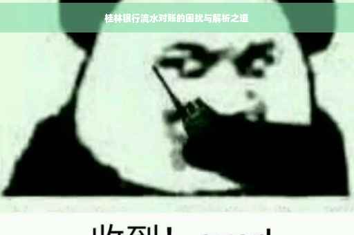 桂林银行流水对账的困扰与解析之道