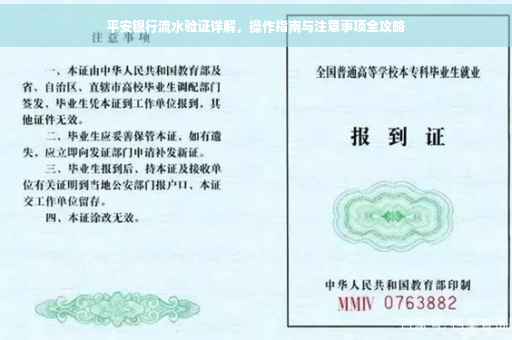 平安银行流水验证详解，操作指南与注意事项全攻略