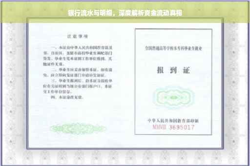 银行流水与明细，深度解析资金流动真相