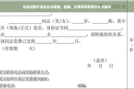 毕业证照片丢失补办指南，流程、注意事项及照片补办解析