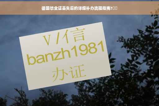 德国毕业证丢失后的详细补办流程指南?⚡️