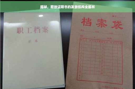 揭秘，释放证明书的发放机构全解析