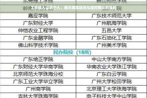 工资收入证明个人，揭示真实状况与应对挑战的策略