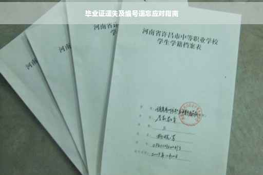 毕业证遗失及编号遗忘应对指南