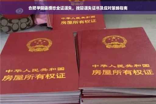 合肥学院函授毕业证遗失，找回遗失证书及应对策略指南