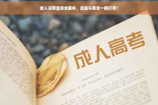收入证明盖章全解析，流程与要求一网打尽！