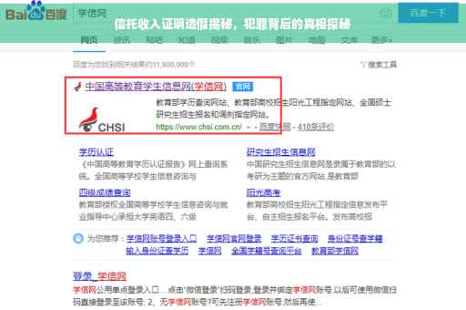 信托收入证明造假揭秘，犯罪背后的真相探秘