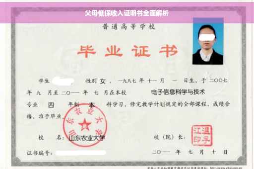 父母低保收入证明书全面解析