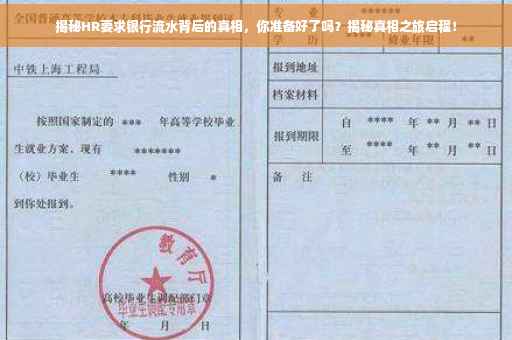 揭秘HR要求银行流水背后的真相，你准备好了吗？揭秘真相之旅启程！
