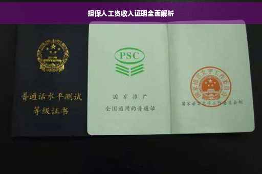 担保人工资收入证明全面解析