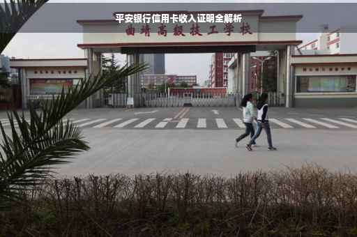 平安银行信用卡收入证明全解析