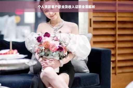 个人贷款客户职业及收入证明全面解析