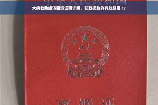 大病救助经济困境证明详解，获取援助的有效路径 ??