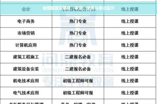 低保医院证明书，申请、使用与争议探讨