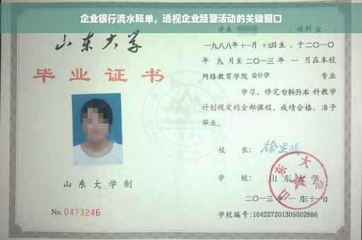 企业银行流水账单，透视企业经营活动的关键窗口