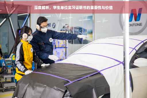 深度解析，学生单位实习证明书的重要性与价值