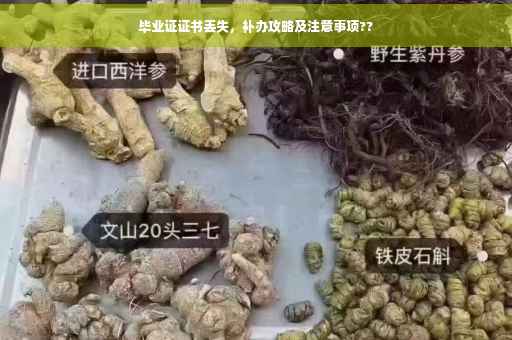 毕业证证书丢失，补办攻略及注意事项??