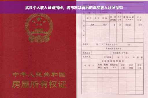 武汉个人收入证明揭秘，城市繁华背后的真实收入状况探究