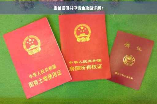 重量证明书申请全攻略详解?