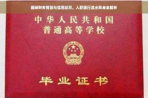 揭秘财务背景与信用状况，入职银行流水账单全解析