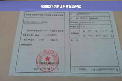 宠物医疗诊断证明书全面解读