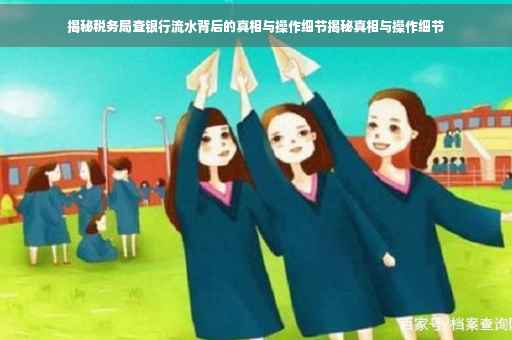 揭秘税务局查银行流水背后的真相与操作细节揭秘真相与操作细节