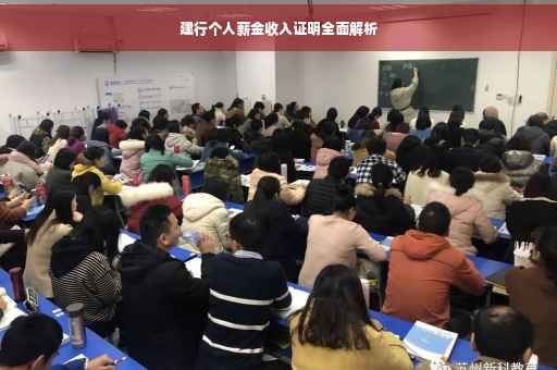 建行个人薪金收入证明全面解析