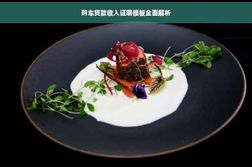 购车贷款收入证明模板全面解析