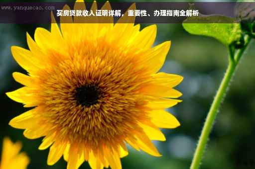 买房贷款收入证明详解，重要性、办理指南全解析