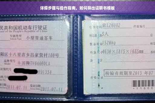 详细步骤与操作指南，如何导出证明书模板