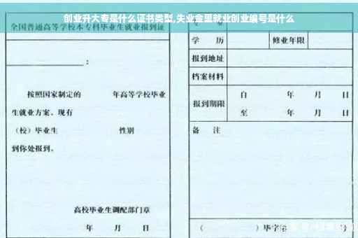 创业升大专是什么证书类型,失业金里就业创业编号是什么