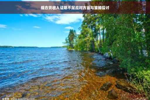 组合贷收入证明不足应对方案与策略探讨